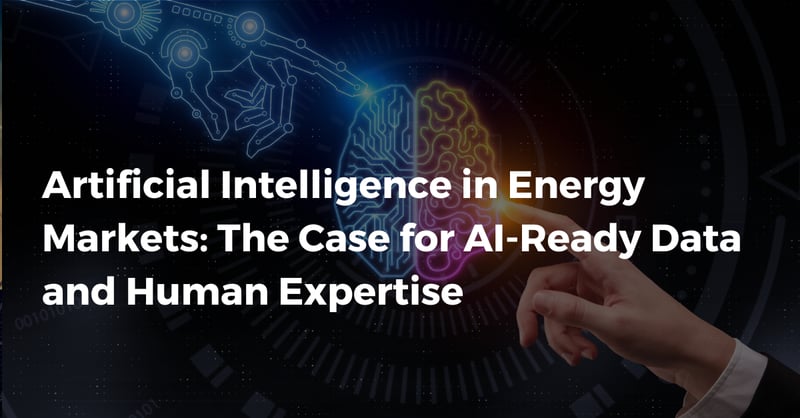 Artificial Intelligence in Energy Markets: The Case for AI-ready Data and Human Expertise