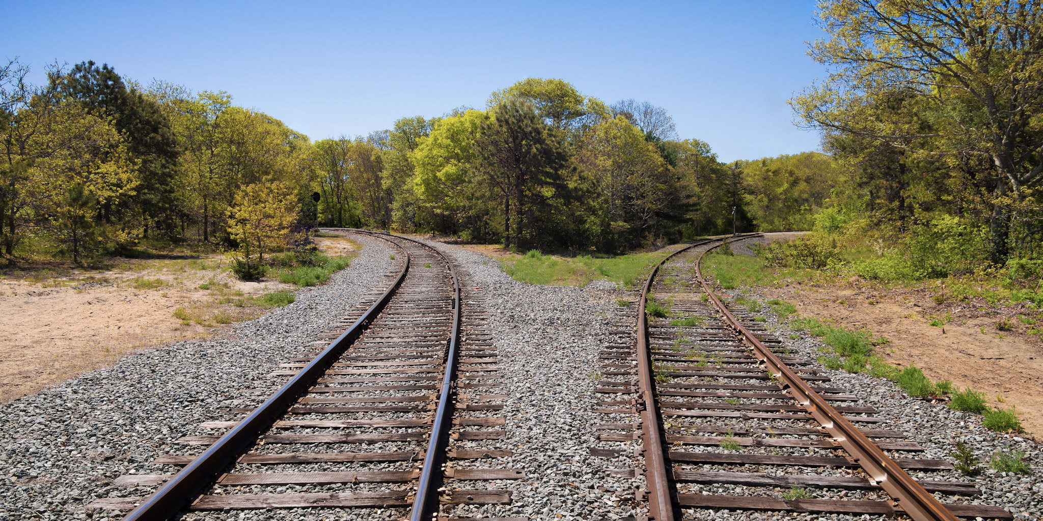 Making the Right Decisions in Uncertain Times: How Many Futures Are Enough?