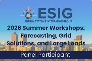 ESIG Summer Workshops