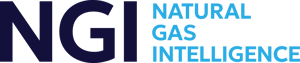 NGI-Primary-Mark