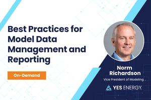 5/20 On-Demand Webinar: Best Practices for Model Data Management