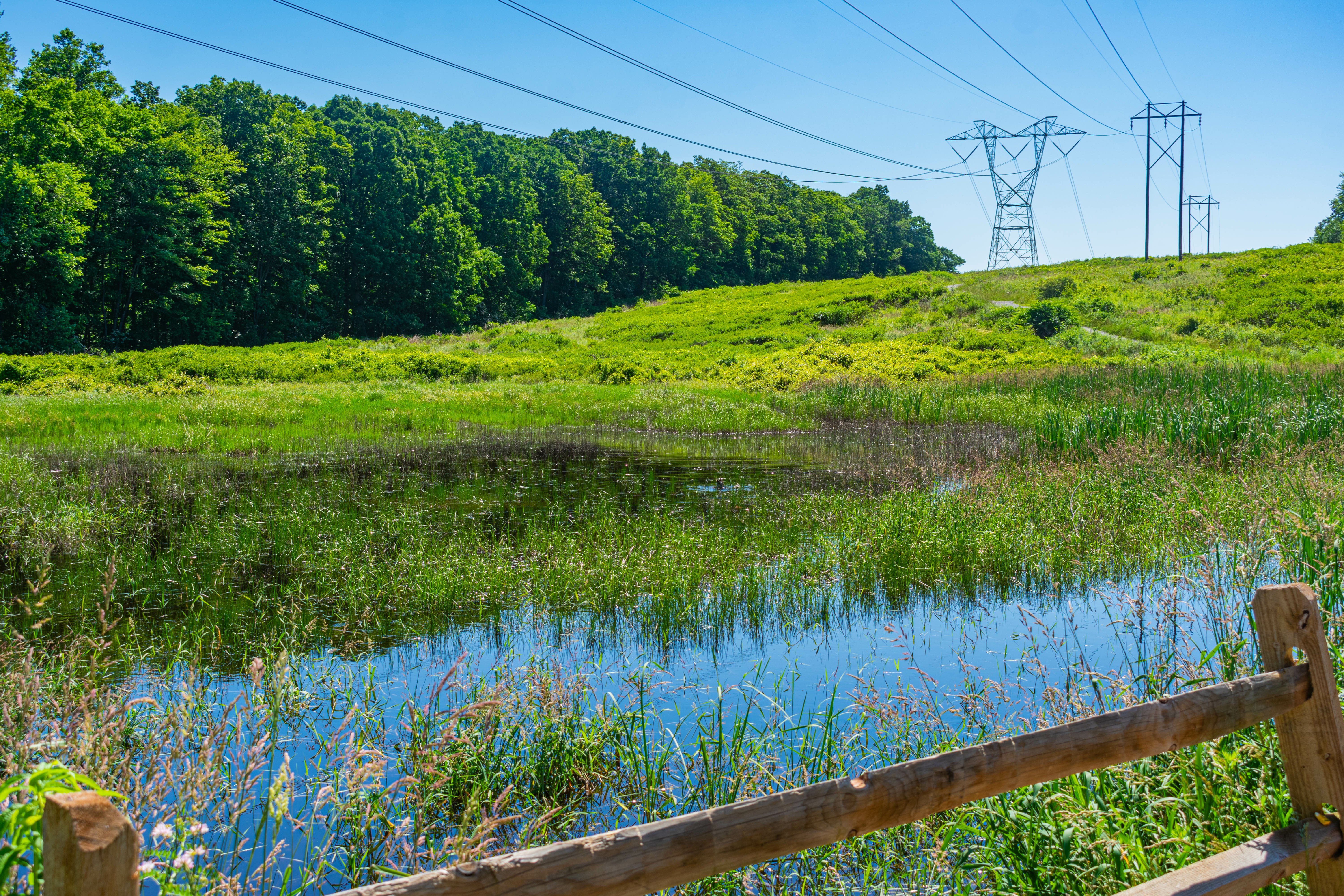 power lines in PJM representing the PJM regulation market redesign