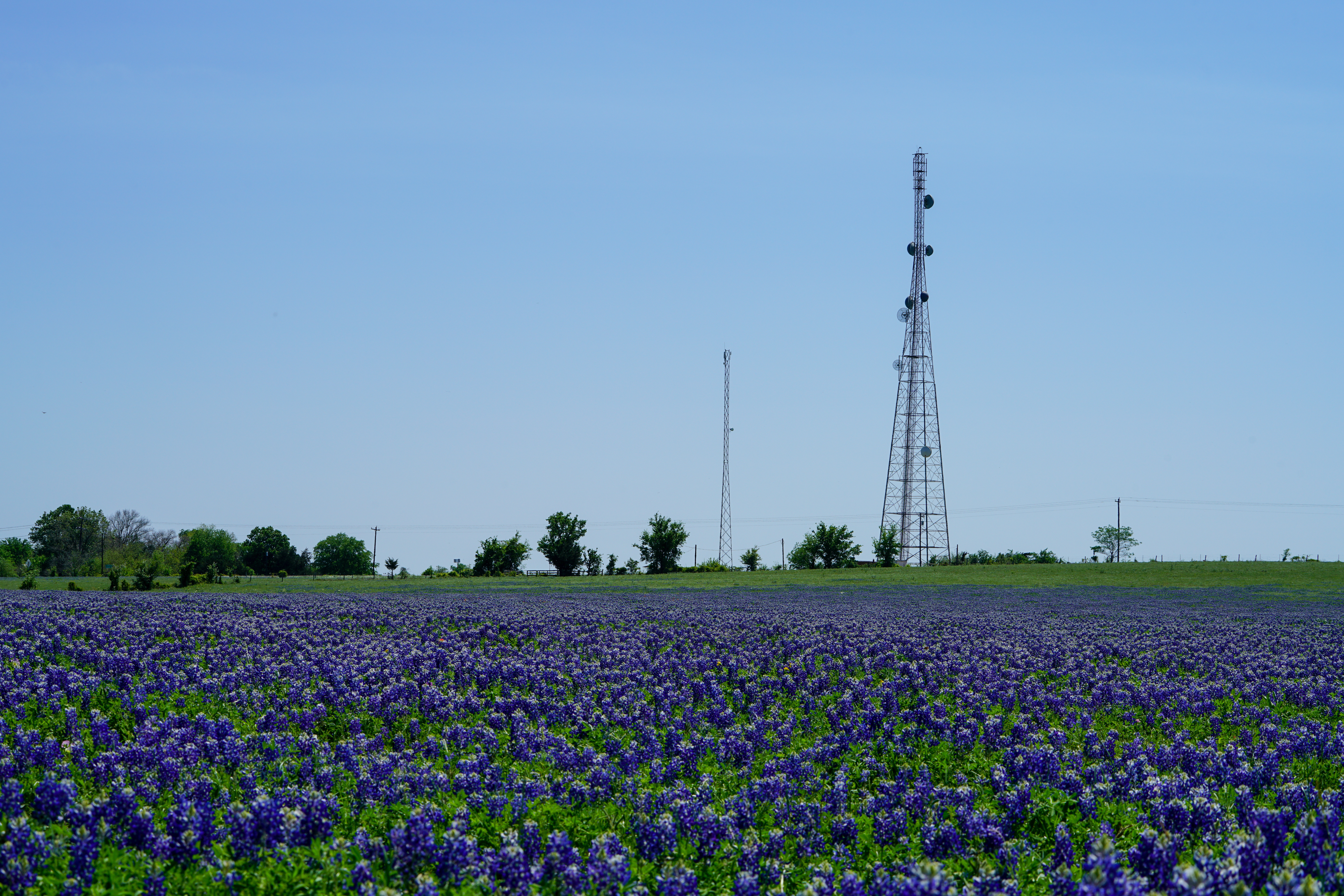 power lines in Texas
