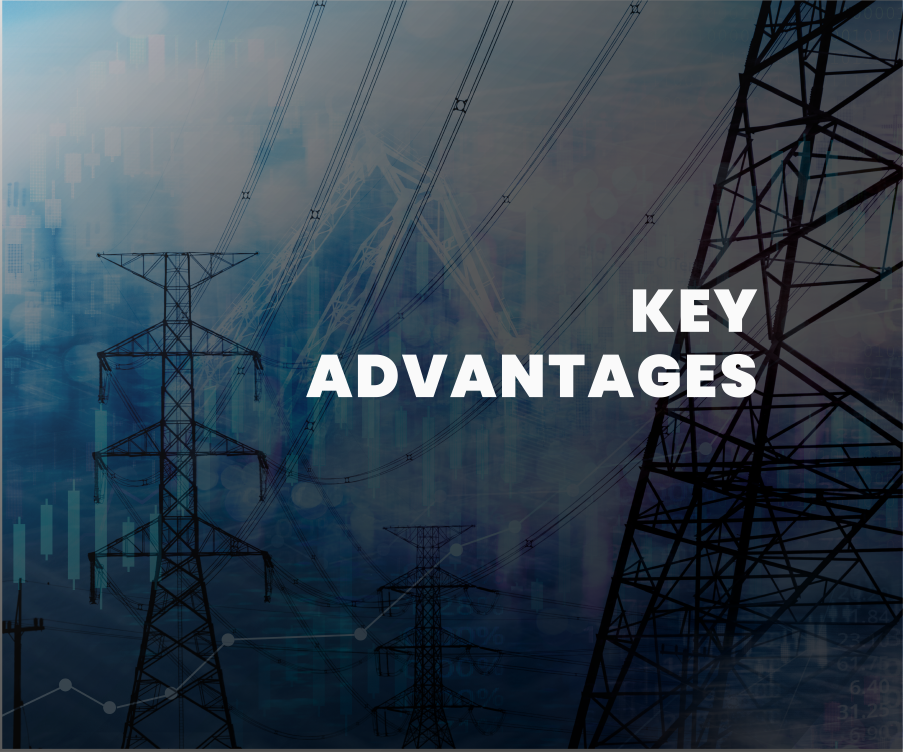 Key Advantages of Historic and Real-Time Power Grid Data