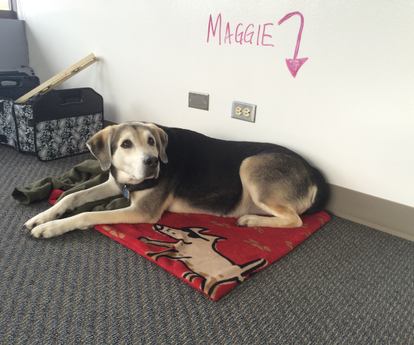 Maggie