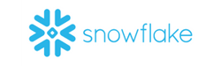 snowflake logo 