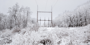 power lines in snow