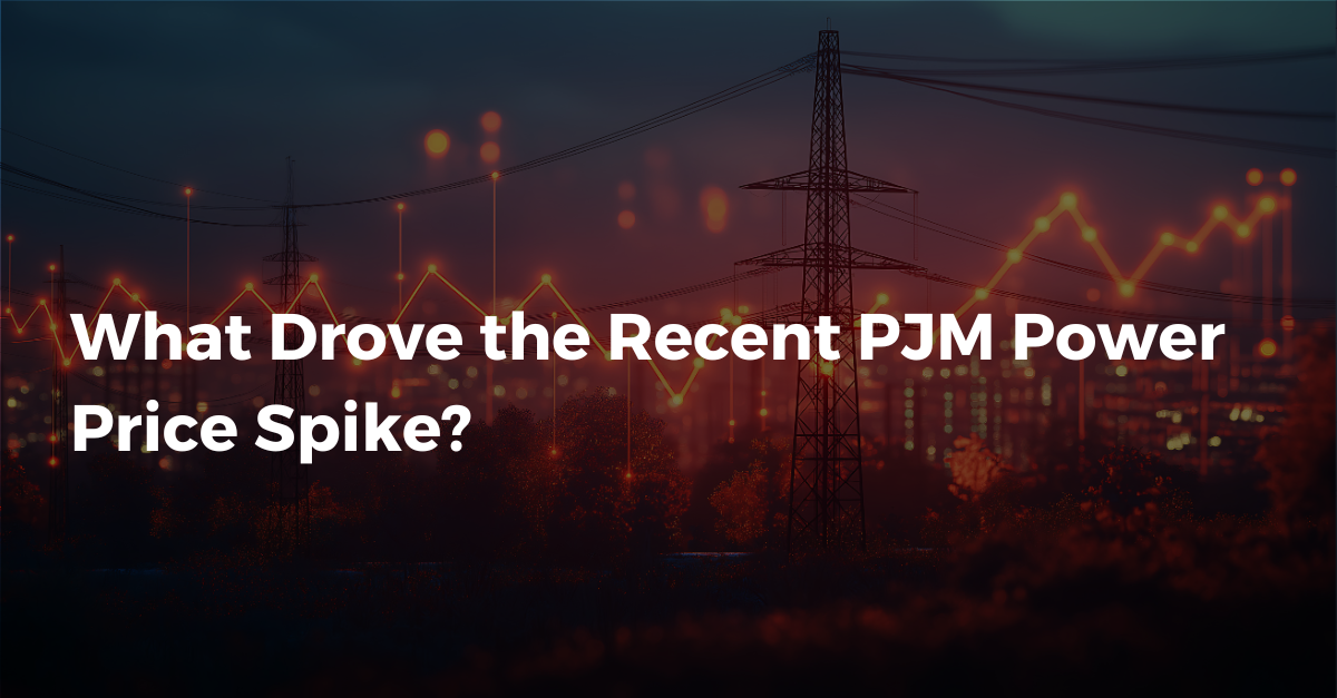 What Drove the Recent PJM Power Price Spike?