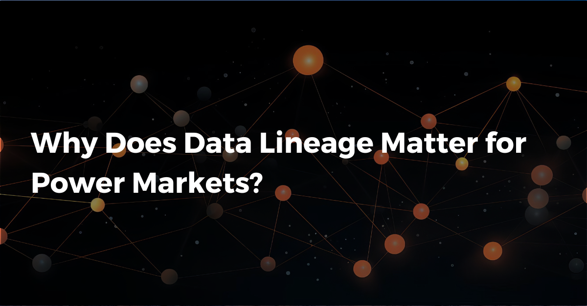 Why Does Data Lineage Matter for Power Markets?