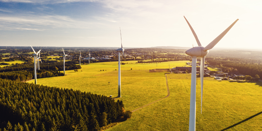 wind turbines in a field